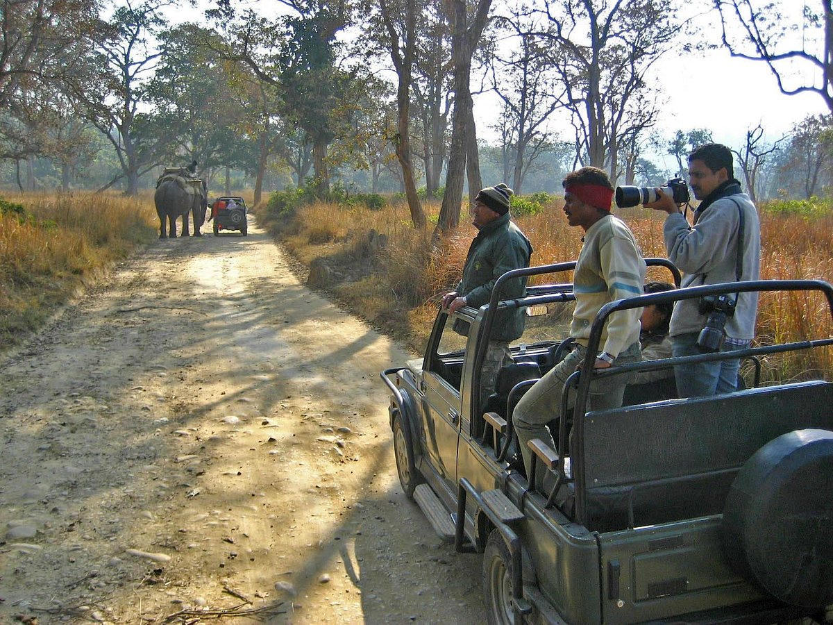 pakhro safari entry-gate