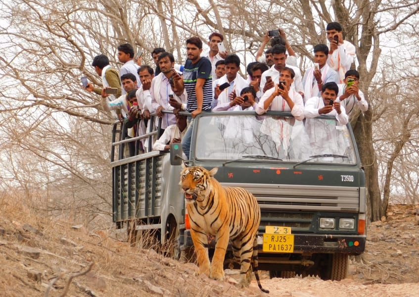 canter safari in Dhikala Safari Zone