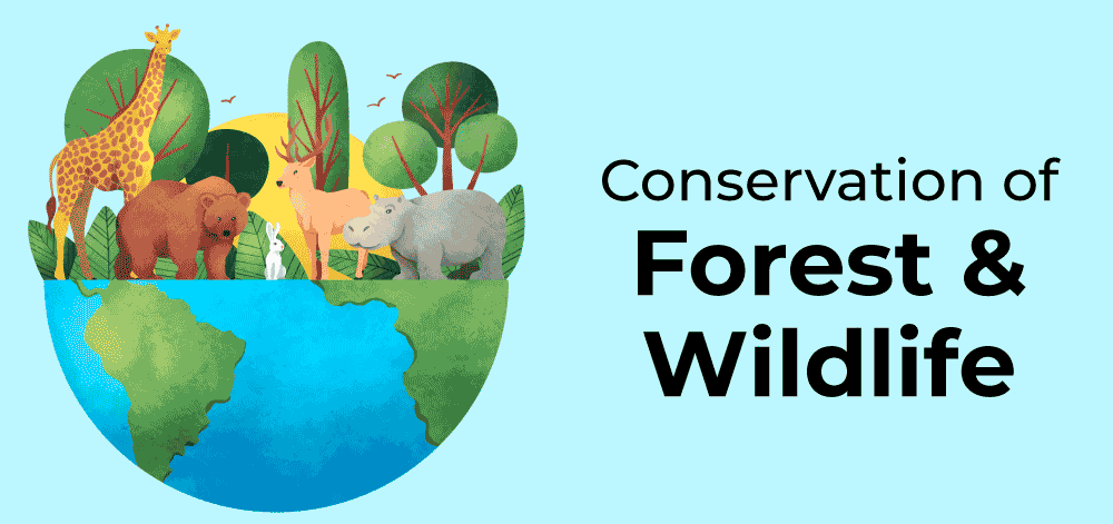 Conservation-of-Forest-and-Wildlife