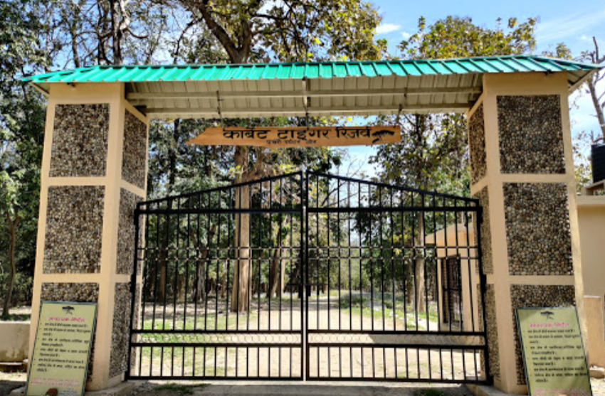 bijrani safari zone