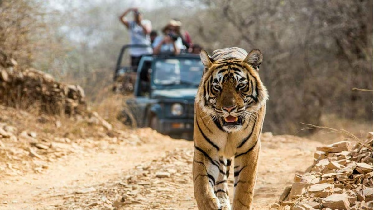 jim corbett conservation